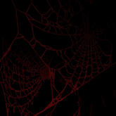 WEBS WEBS